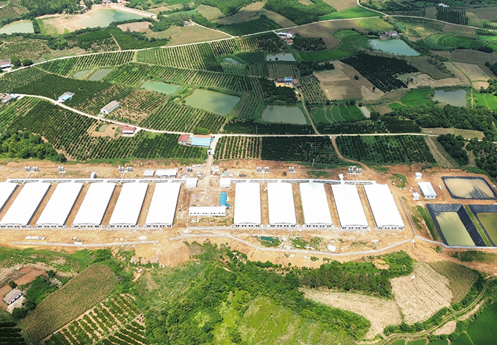 Hubei Dangyang Universe 15400 Fattening Farm